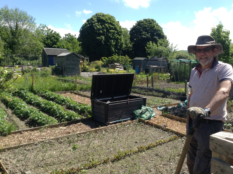 Aberystwyth Allotments